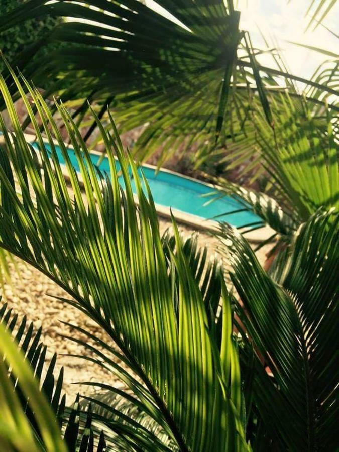 Apartmanovy Dom Red Hotel Bellegszencse Kültér fotó